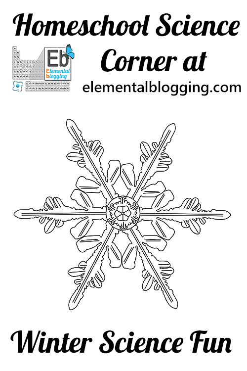 Have some winter science fun by making some snowflake crystals! - Elemental Blogging