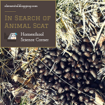 Science Corner: In Search of Animal Scat