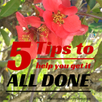 5 Tips to help you get it all done!