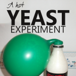 Science Corner: A Hot Yeast Experiment