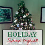 Science Corner: Holiday Science Projects