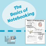 The Basics of Notebooking