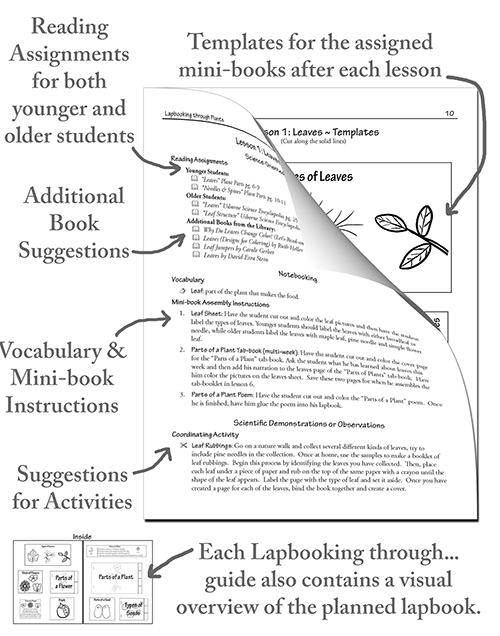 lapbooking through, elemental science