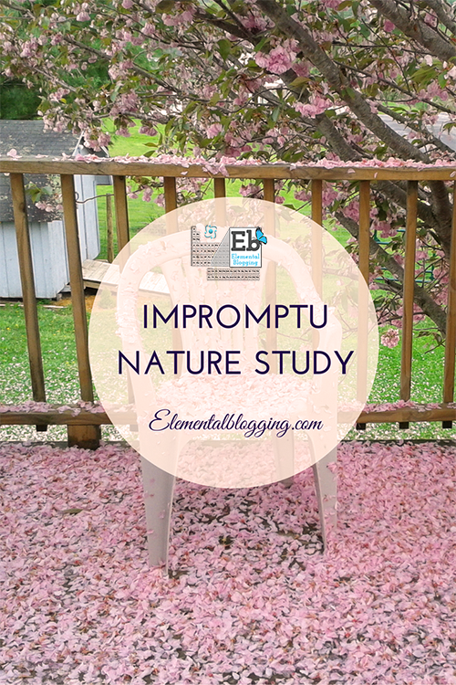 Impromptu Nature Study - It's all about taking advantage of the nature study opportunites that present themselves each and every day.
