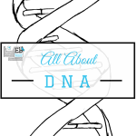 Homeschool Science Corner ~ DNA Activities