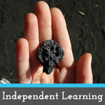 Working towards Independence in your Homeschool