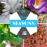 Homeschool Science Corner ~ All About Seasons