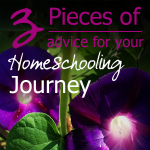 3 Pieces of advice for your homeschooling journey