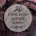 26 Items you can find in my science supply cabinet