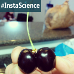 Double Cherries {InstaScience}