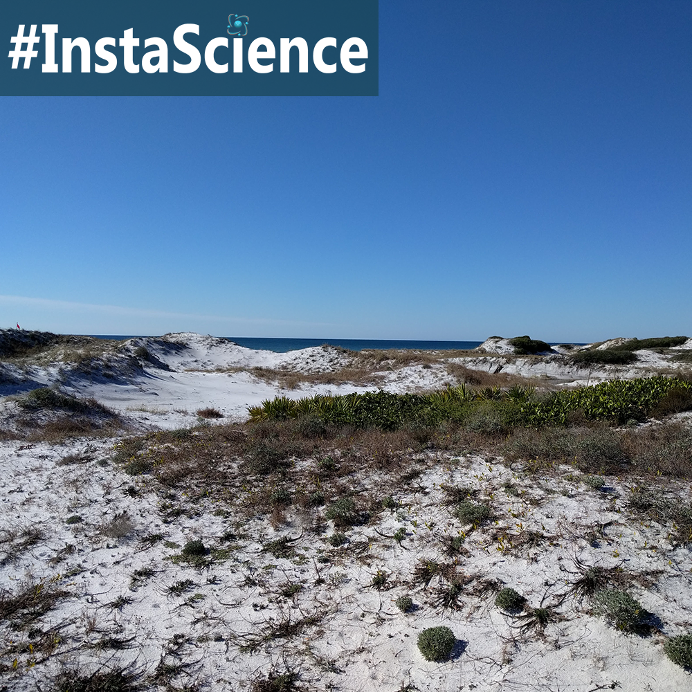 If you have been to the beach, you have probably seen sand dunes. But do you know how these sand dunes are formed or how they change? Read to get the answers.