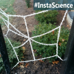 Freezing Fog {InstaScience}