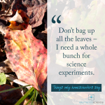 Save the leaves for science!