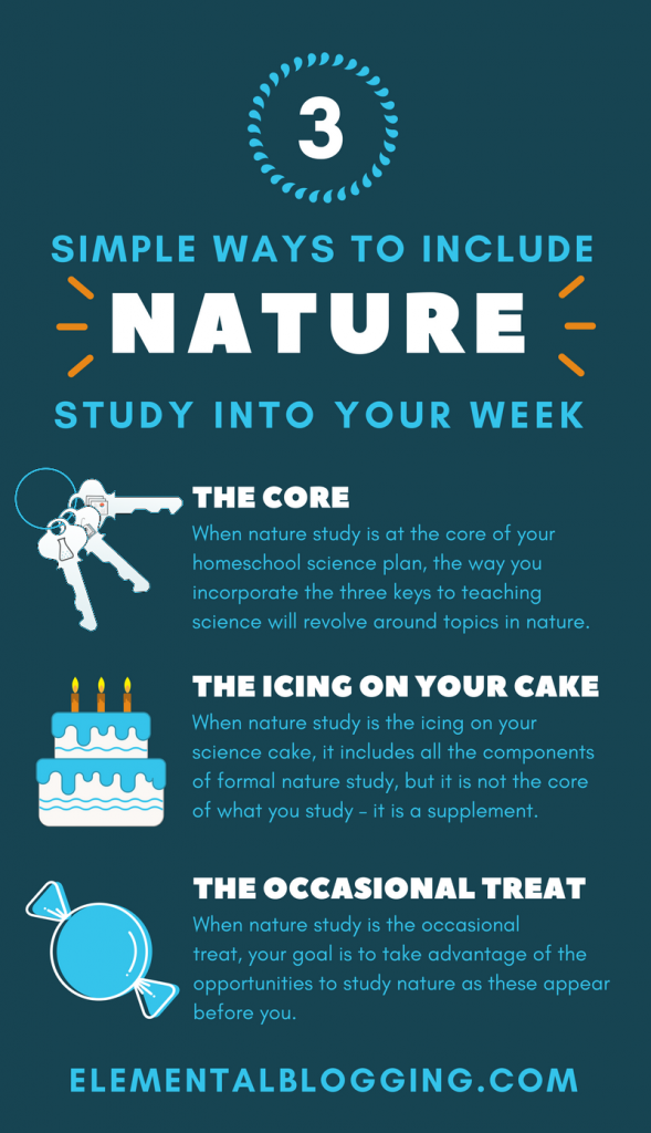 Wondering how to included nature study into your homeschool? These 3 simple ways will help.