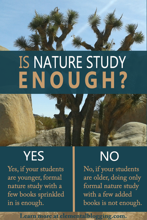 Have you ever wondered - is nature study enough? Here are the two answers to that question along with tips to figure out which one is right for your homeschool.